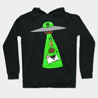 Frog Sloth Cat Cow Alien Abduction Hoodie